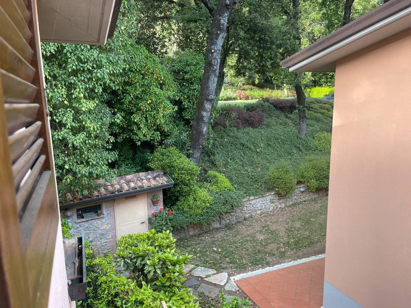 Giardino
