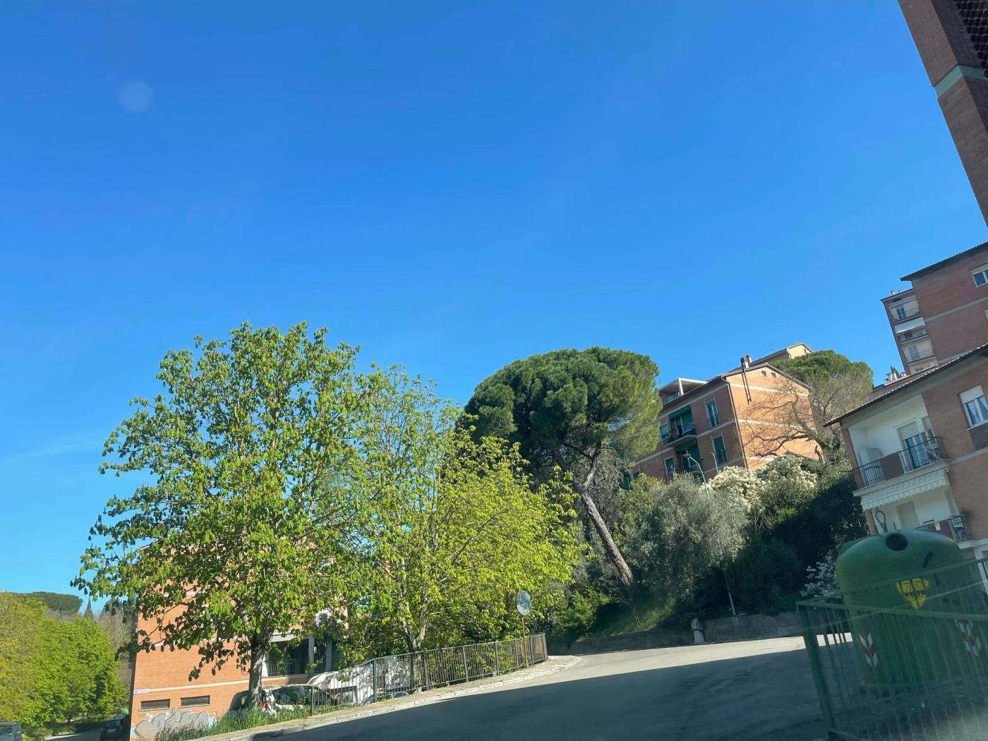 Vista