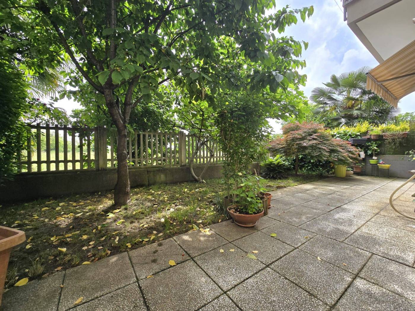 Giardino