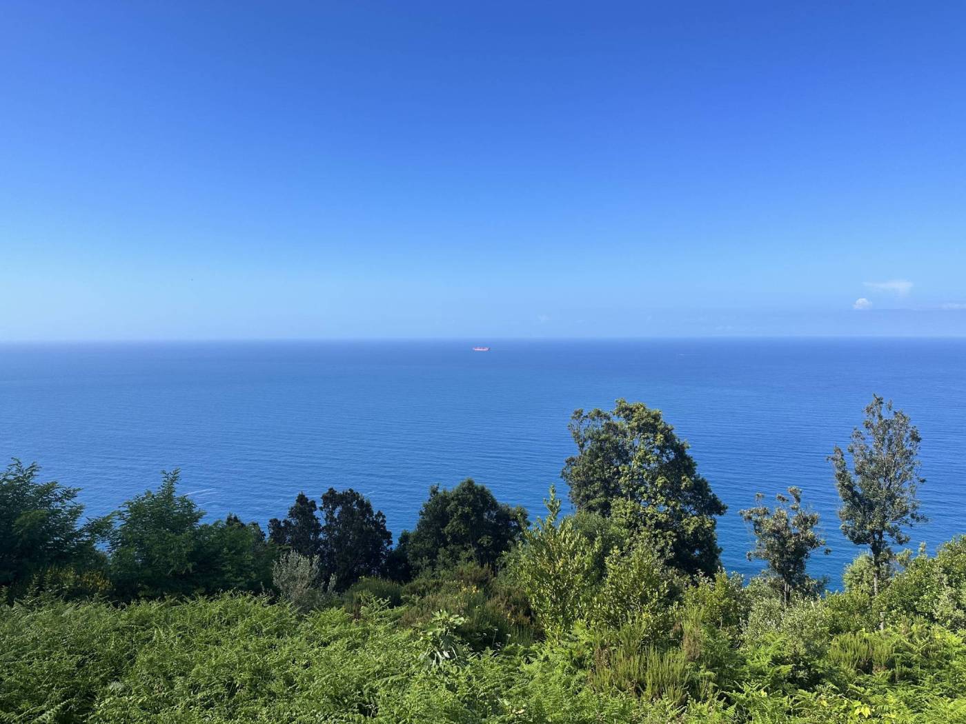 Vista