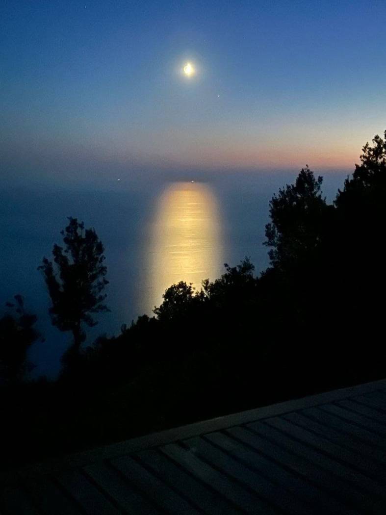 Vista