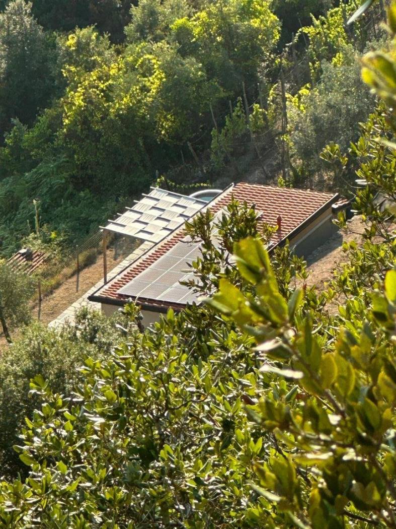 Vista
