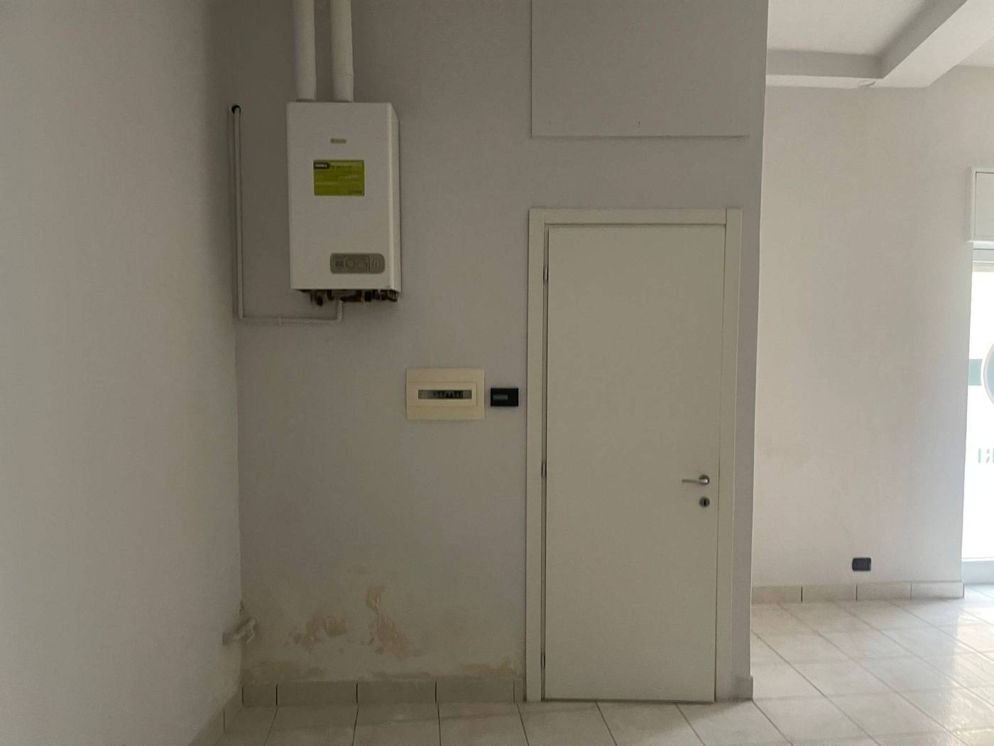 Ingresso