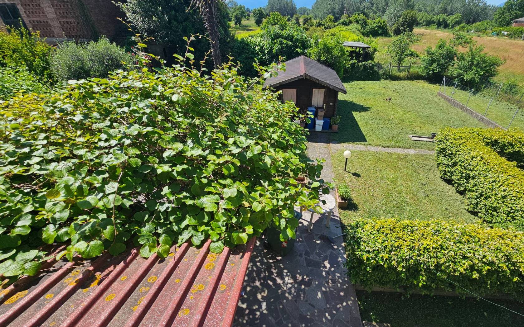 Giardino