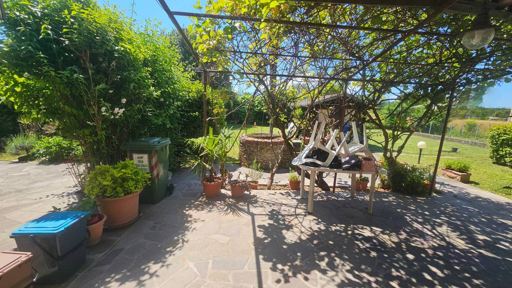 Giardino