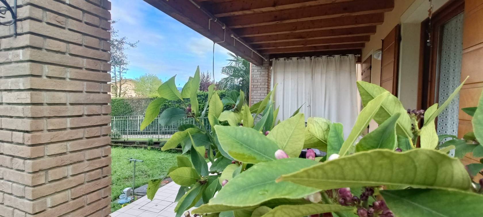 Giardino