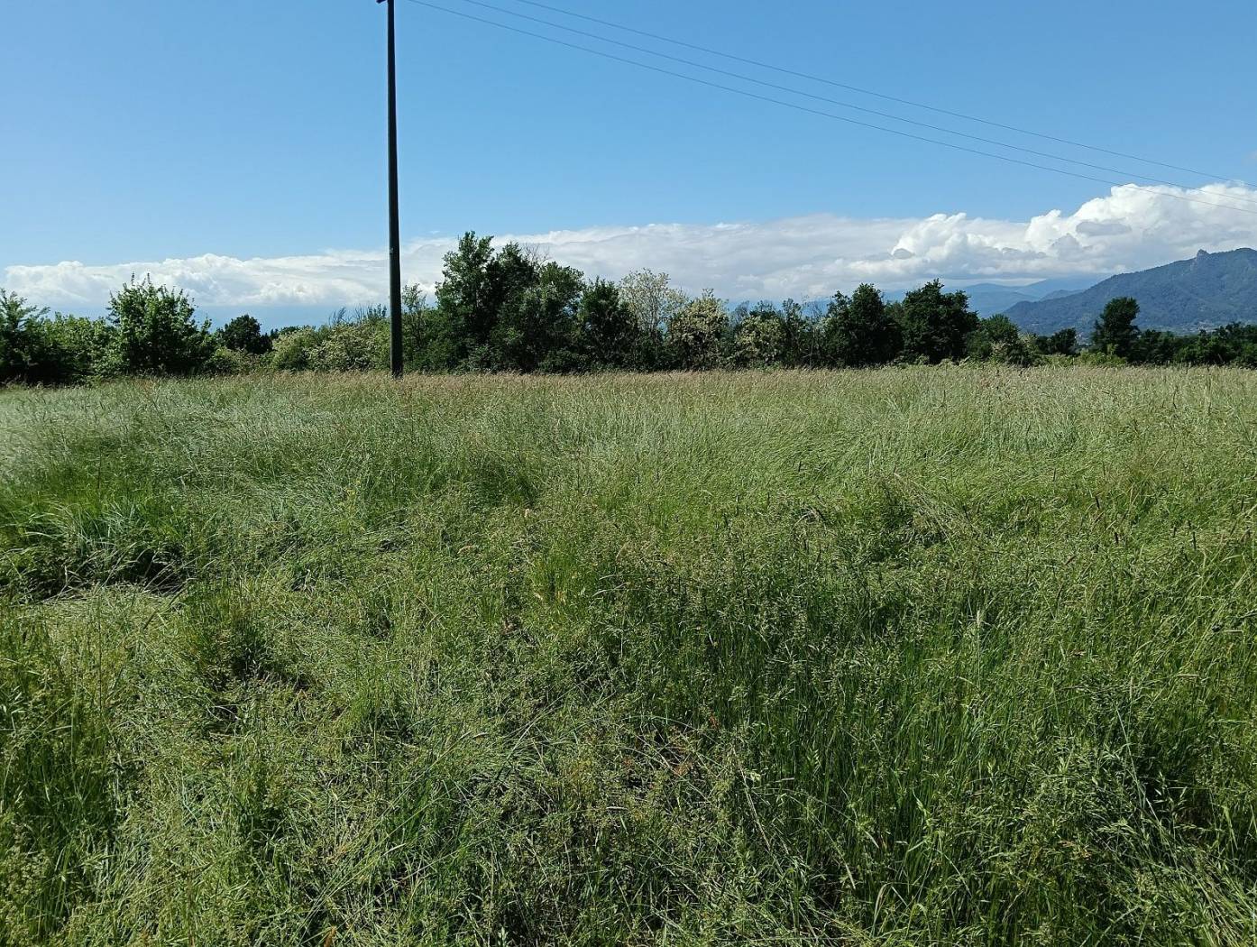 Terreno