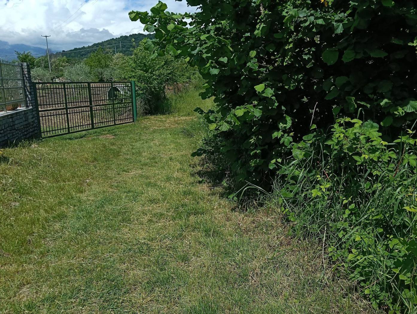 Terreno