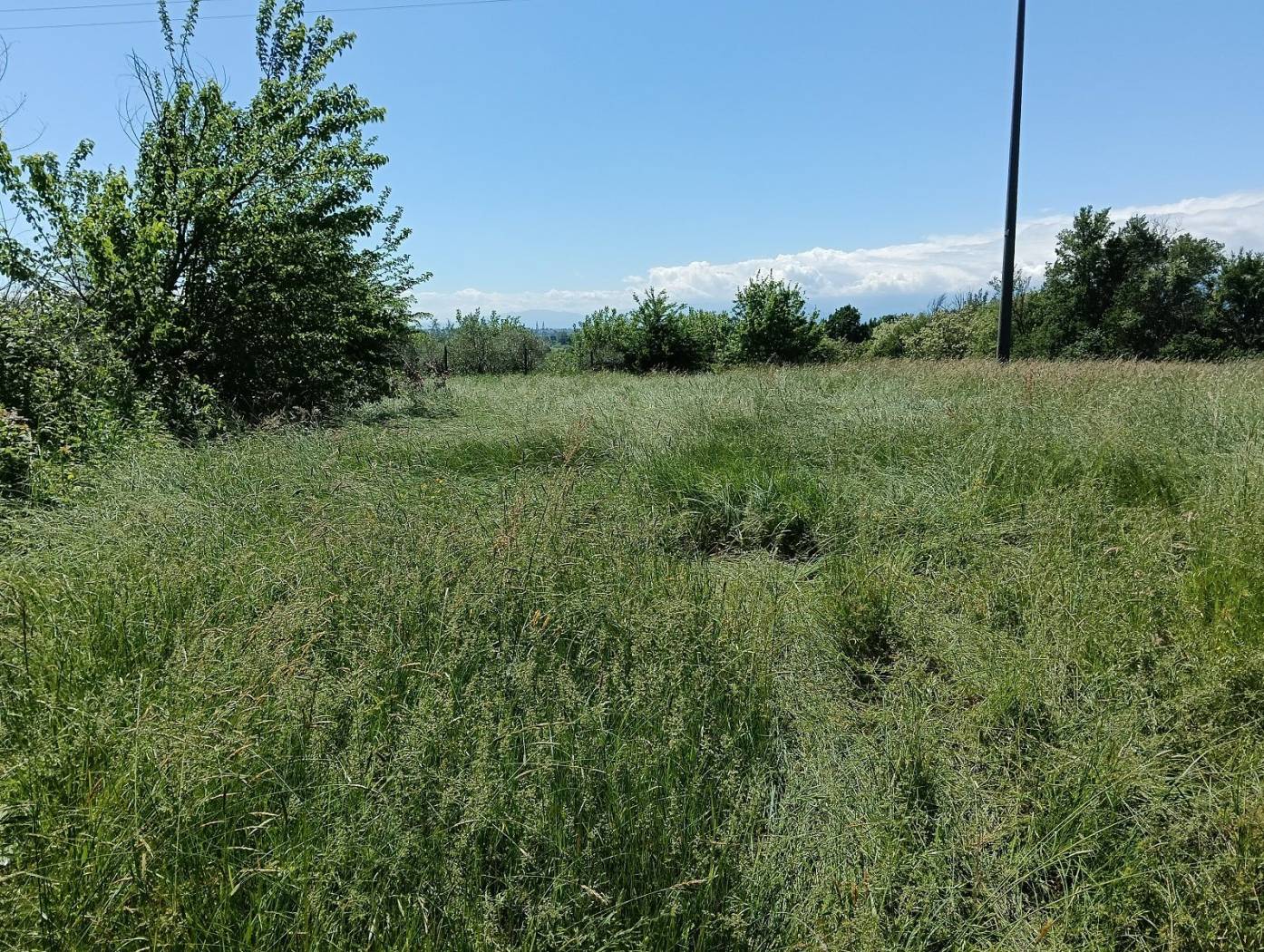 Terreno