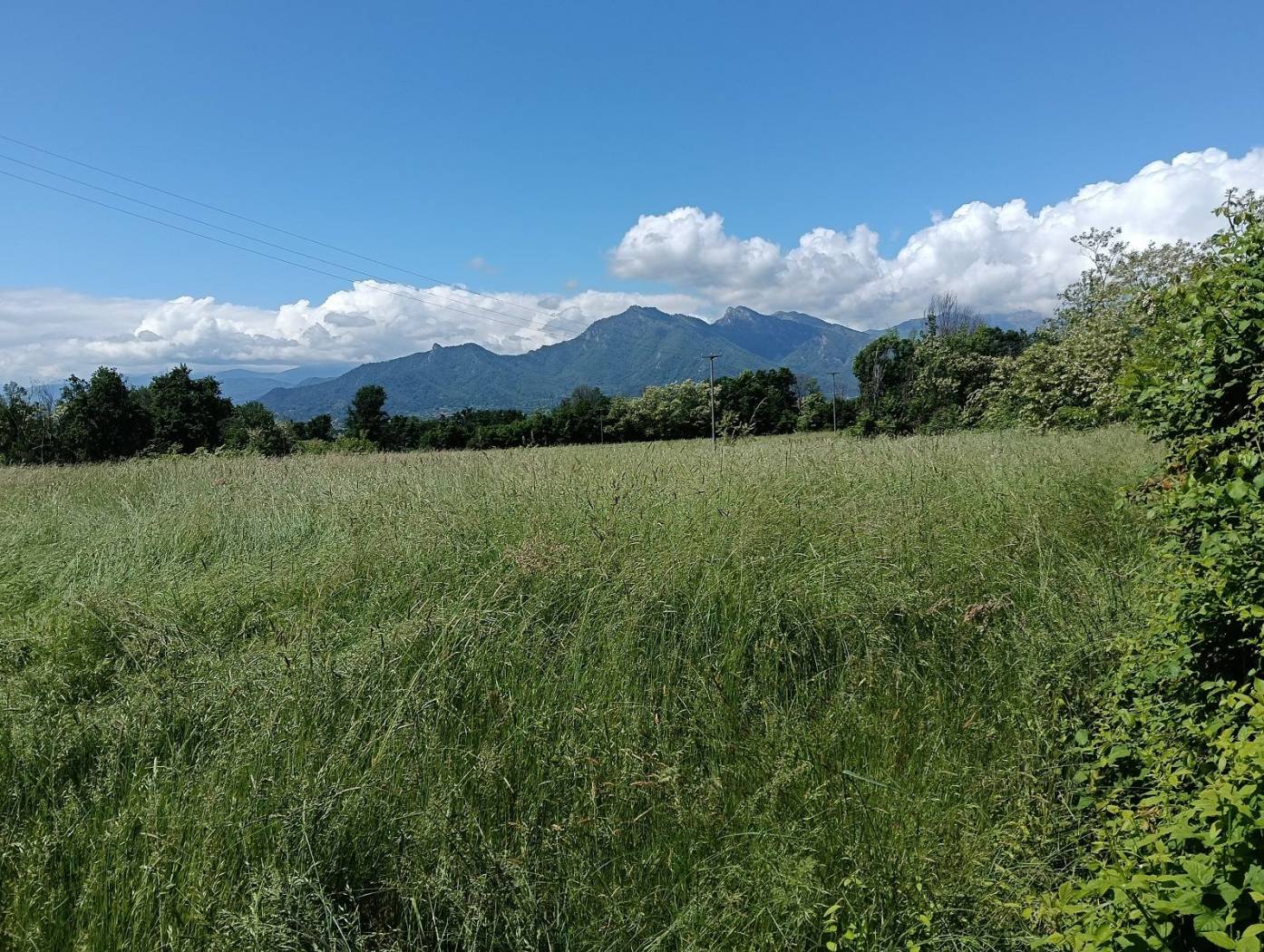 Terreno
