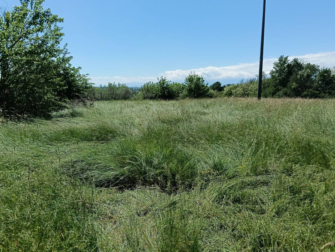 Terreno