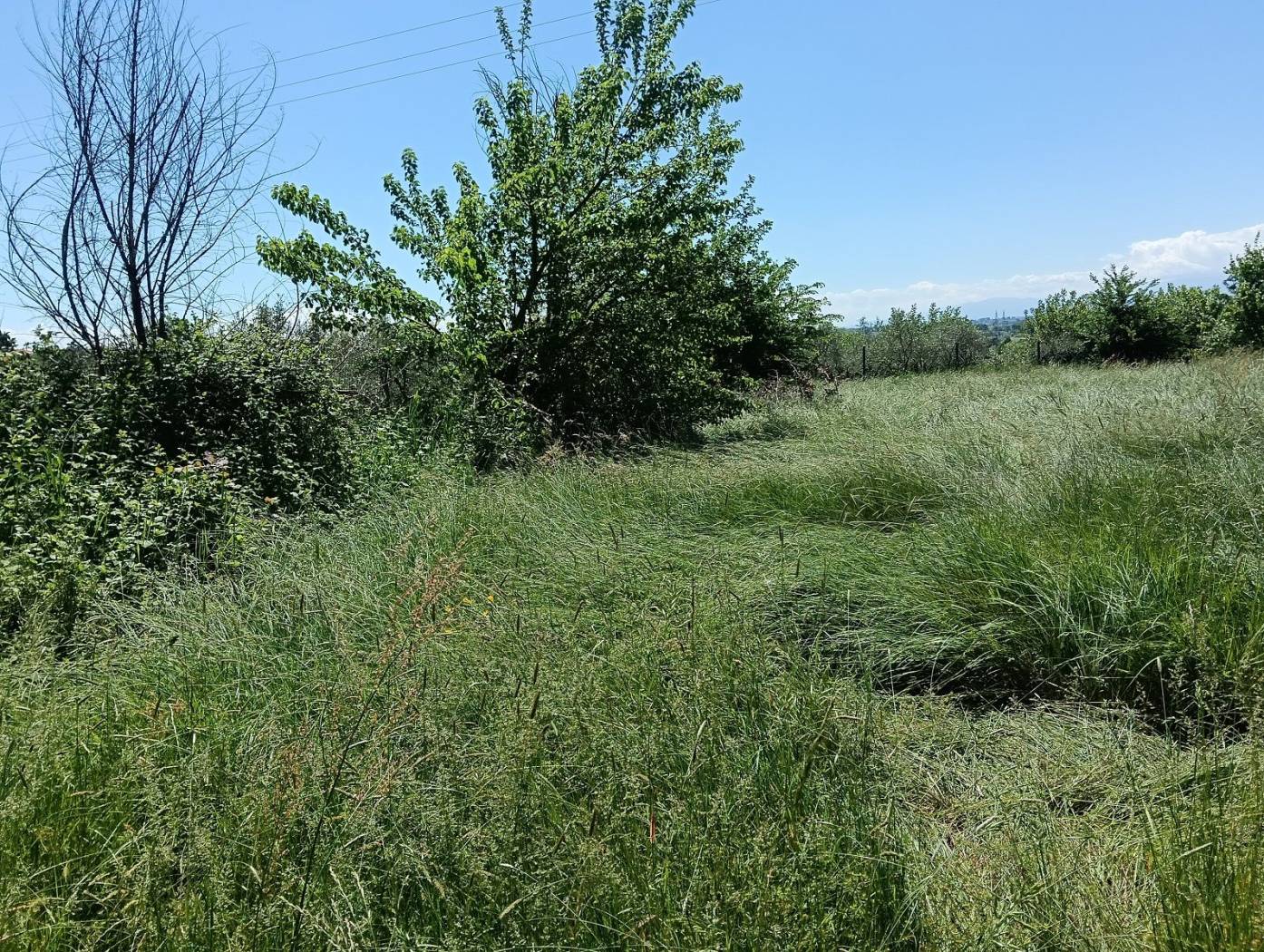 Terreno
