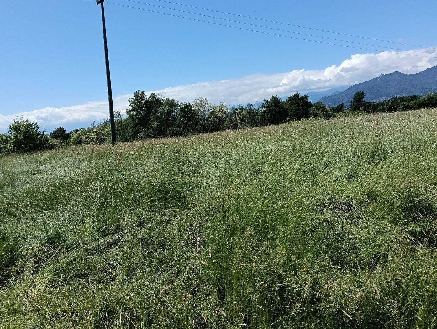 Terreno