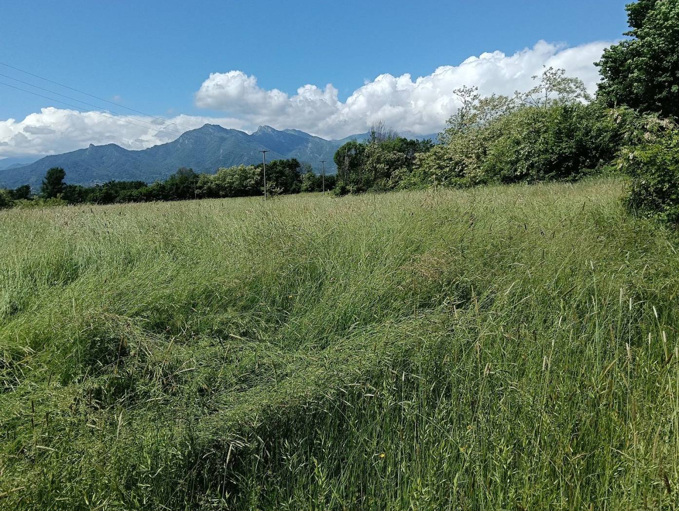 Terreno
