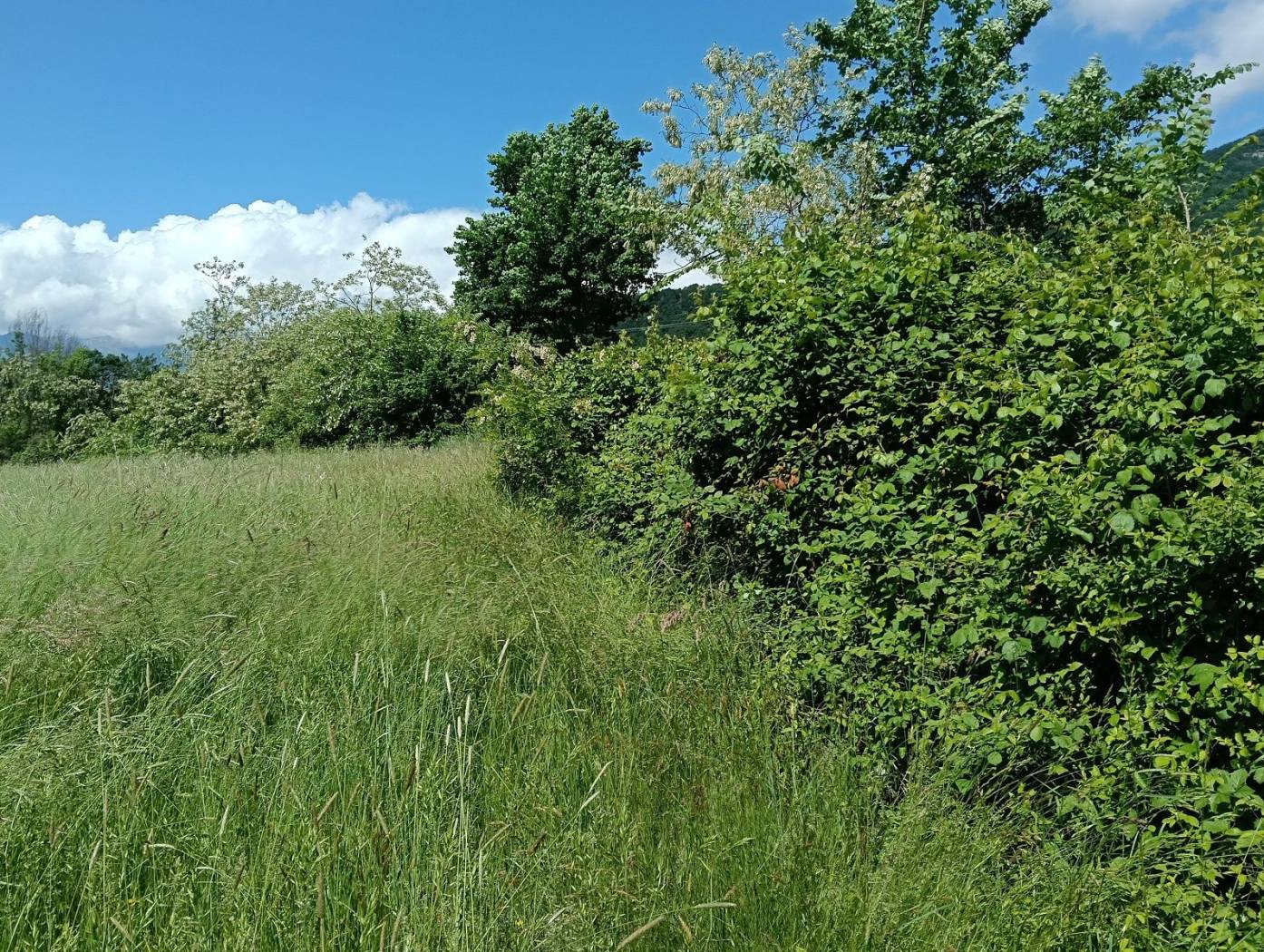 Terreno