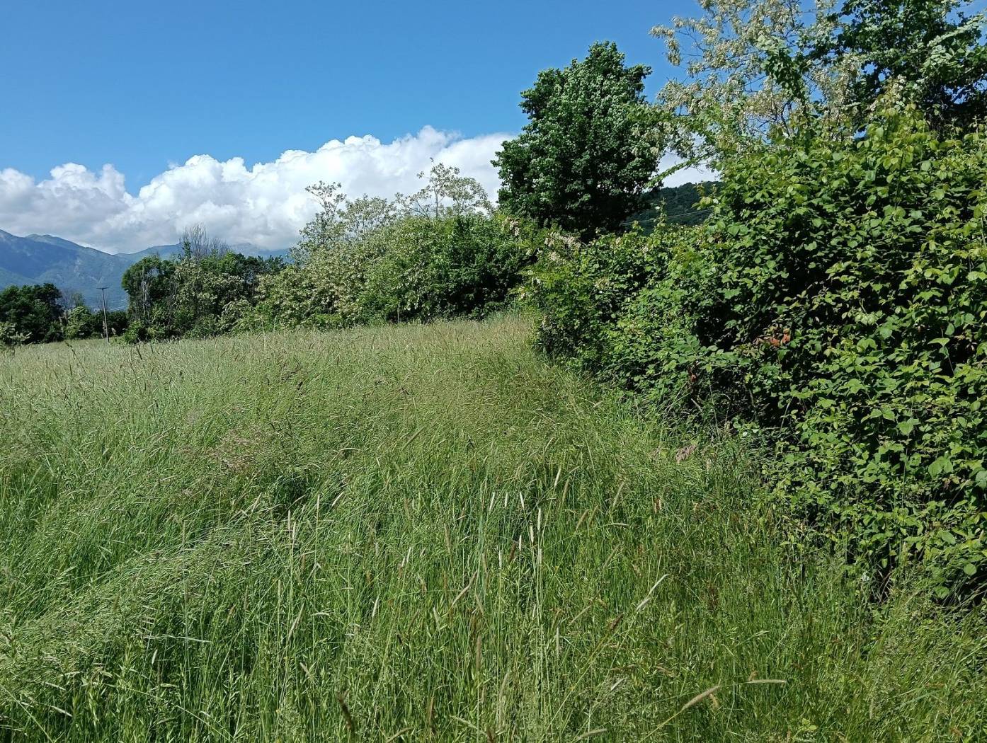 Terreno