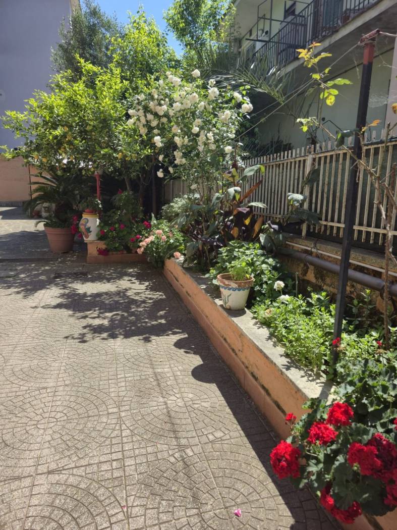 Giardino