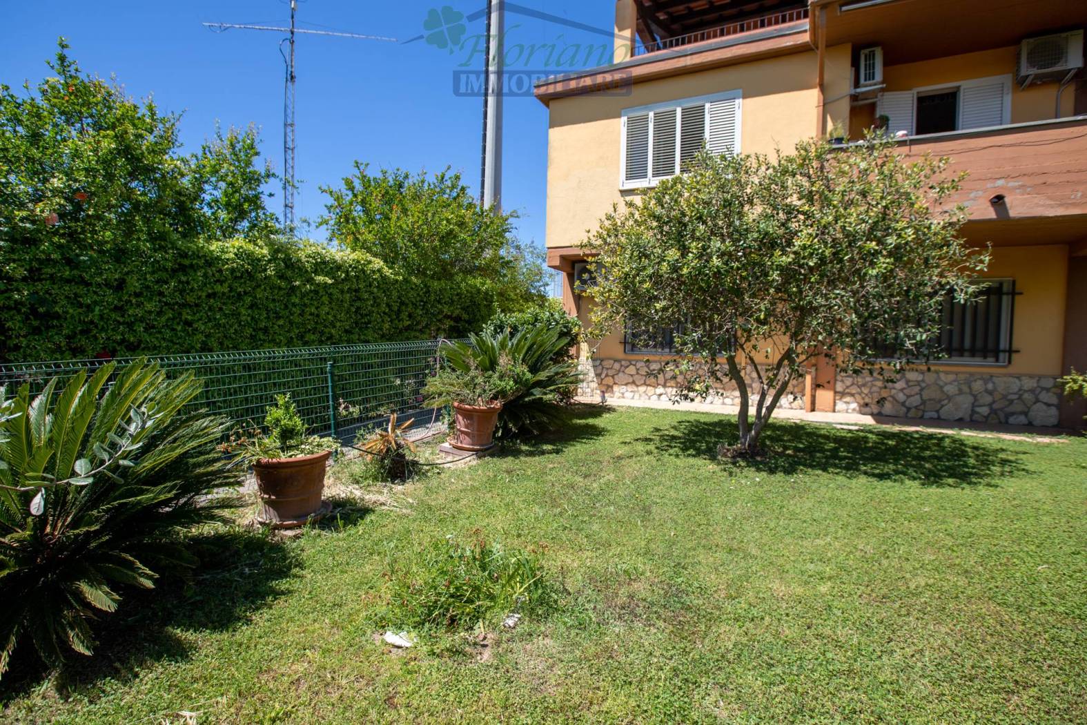 Giardino