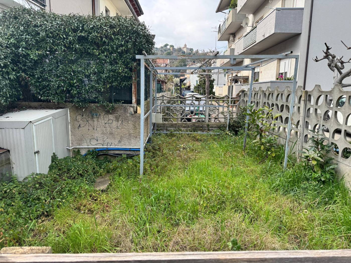 Giardino