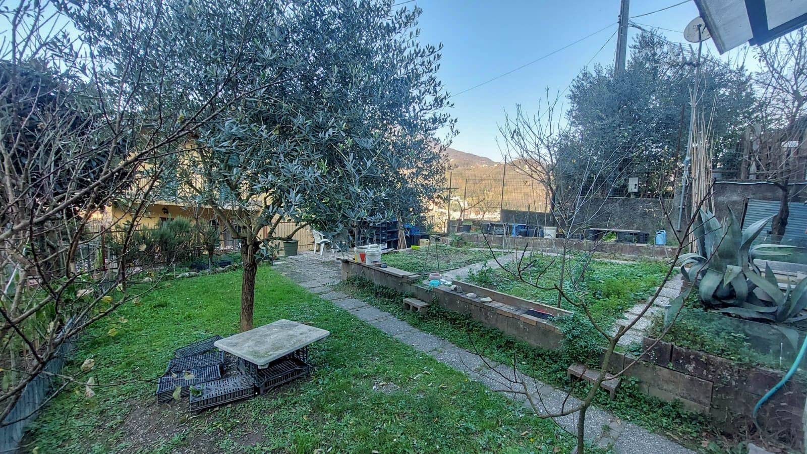 Giardino