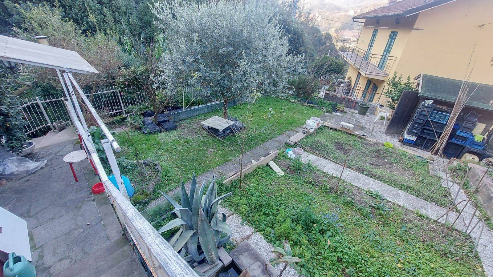 Terreno