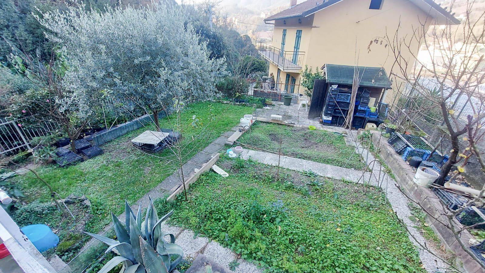 Giardino