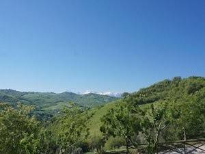 Vista