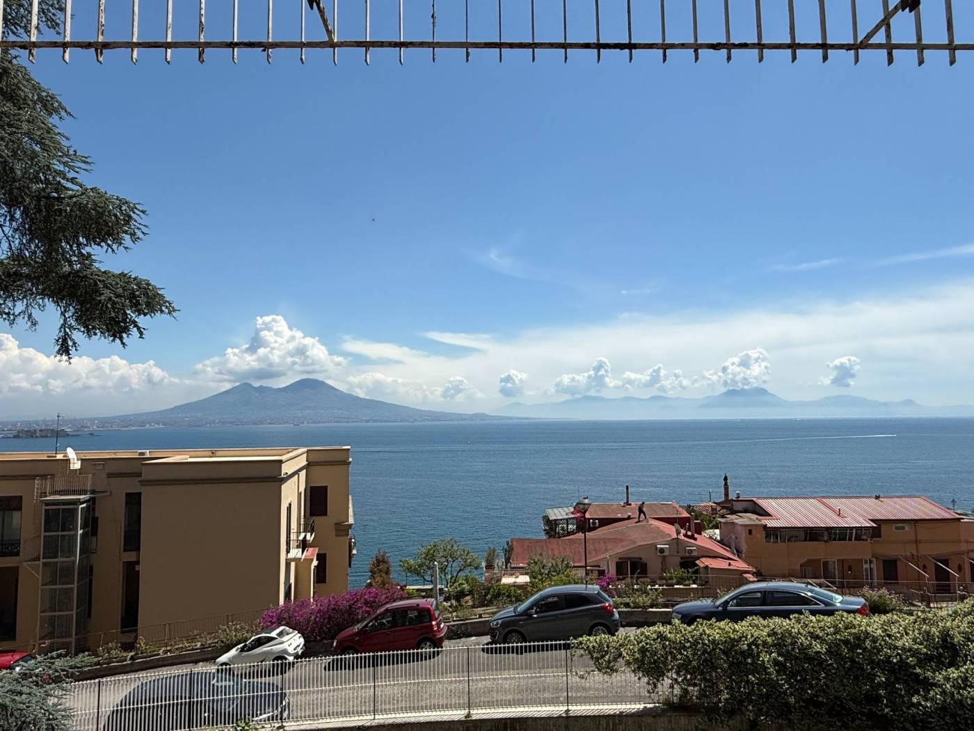Vista