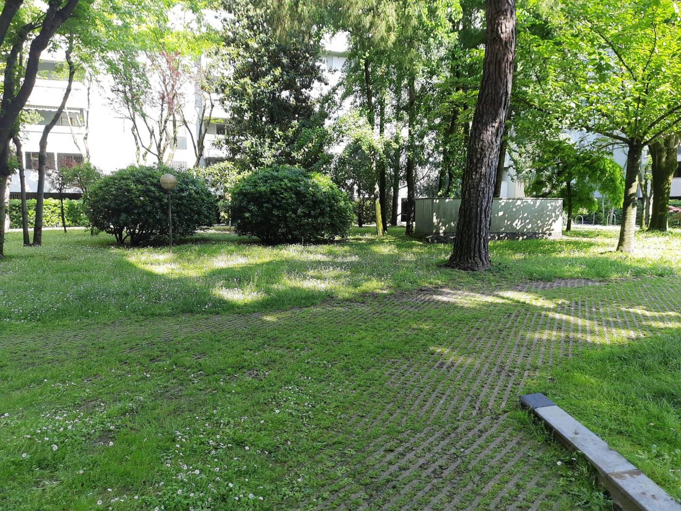 Giardino