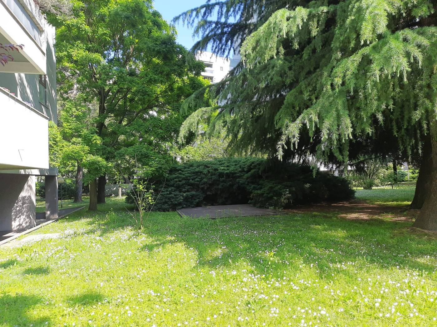 Giardino