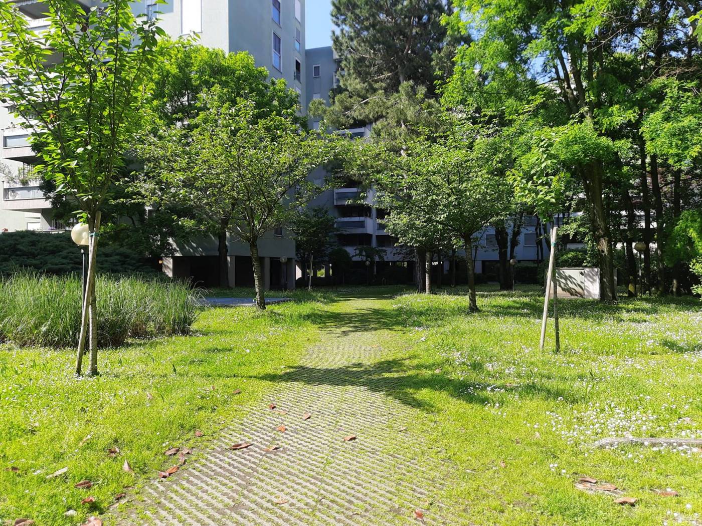 Giardino