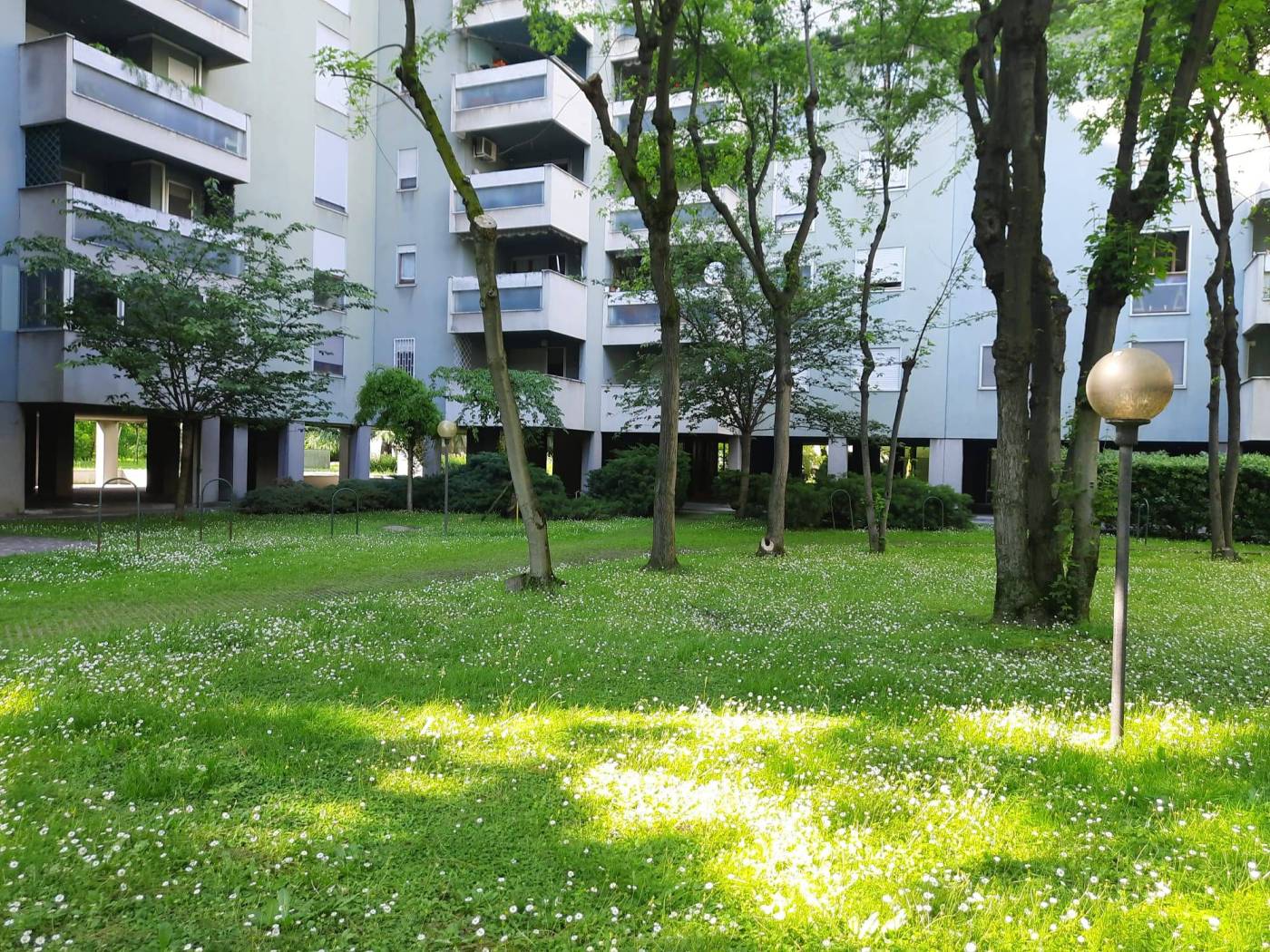 Giardino
