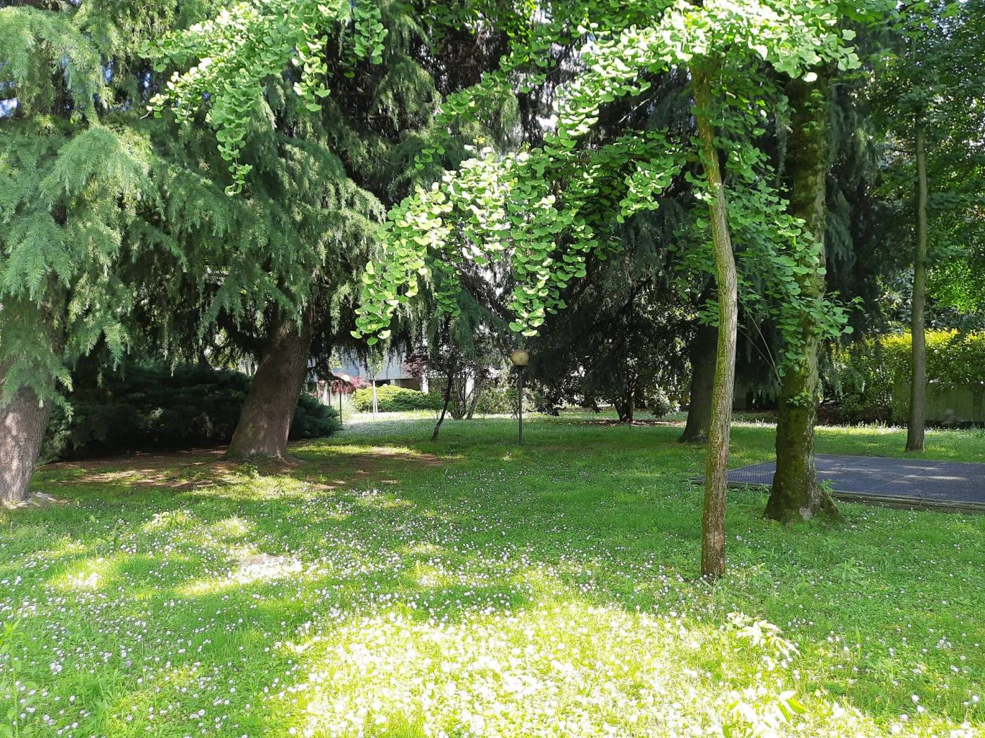 Giardino