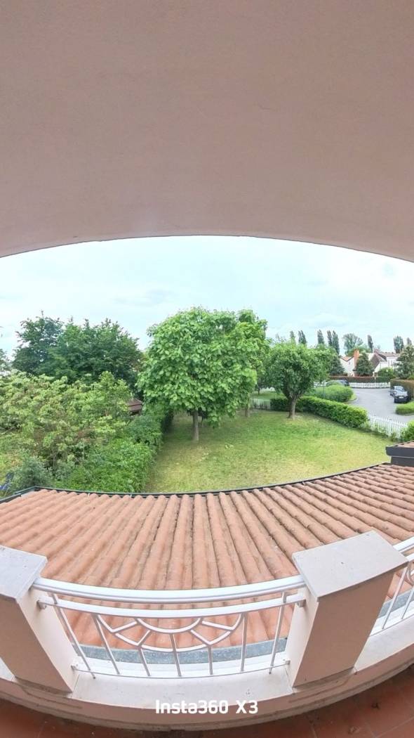 Vista