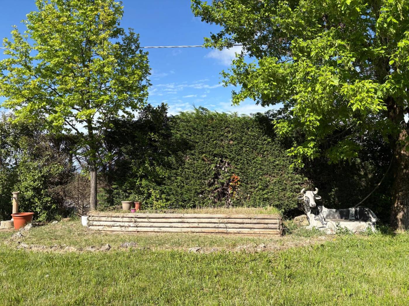 Terreno