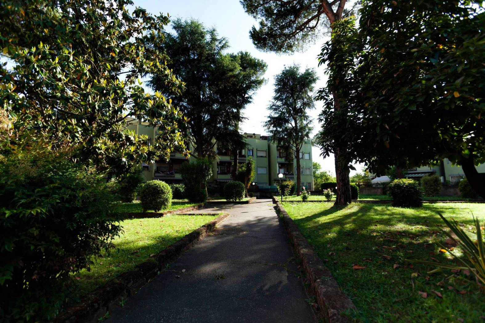 Giardino