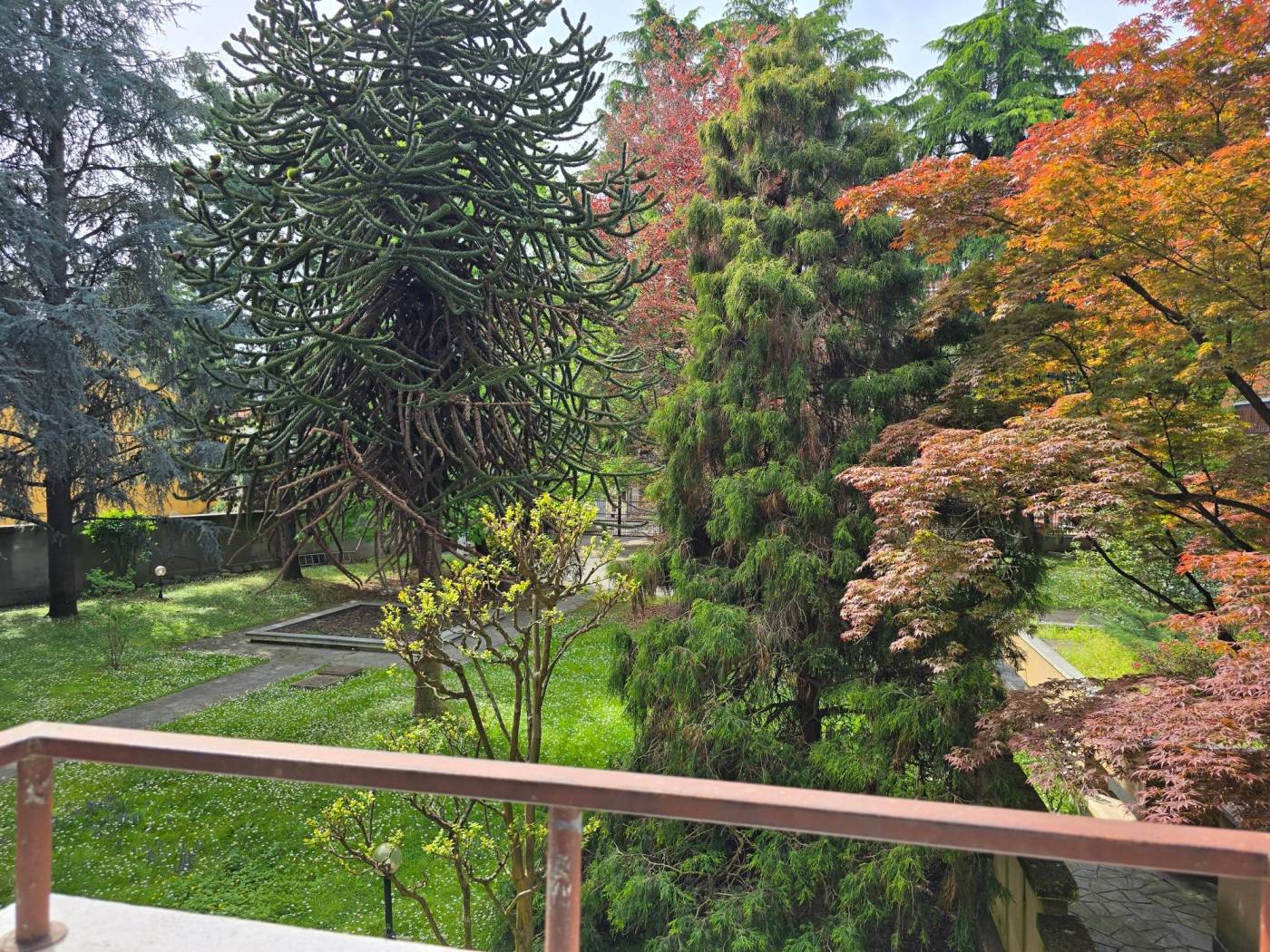 Vista