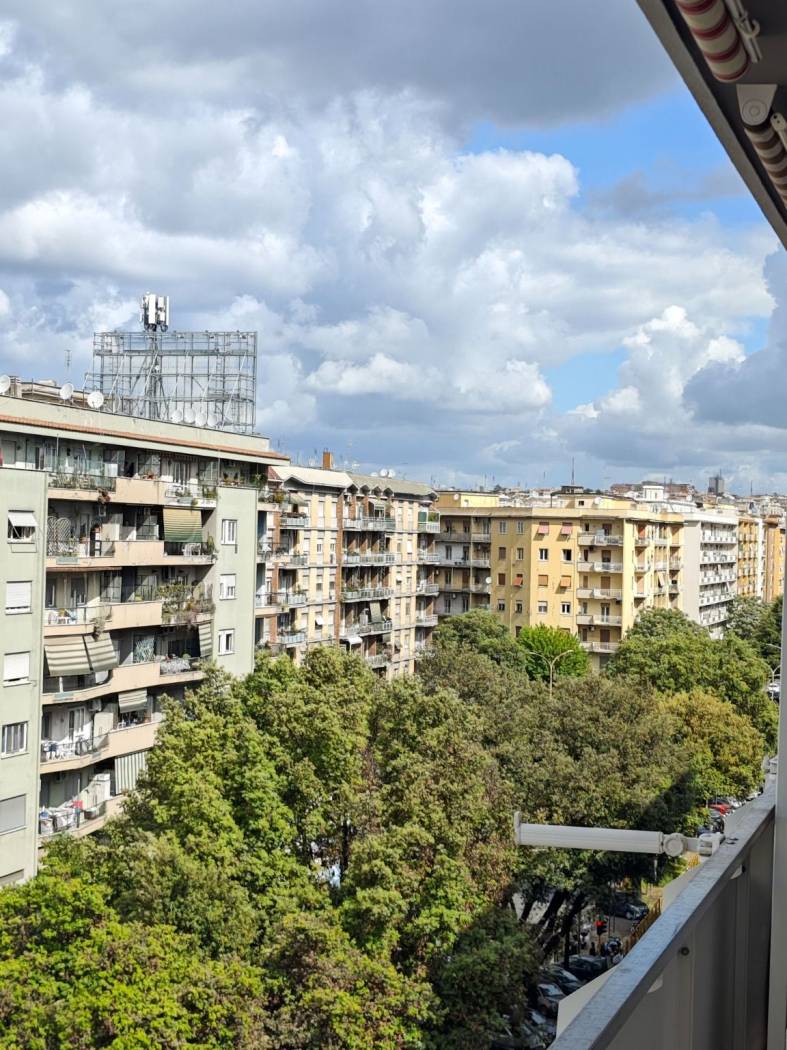 Vista