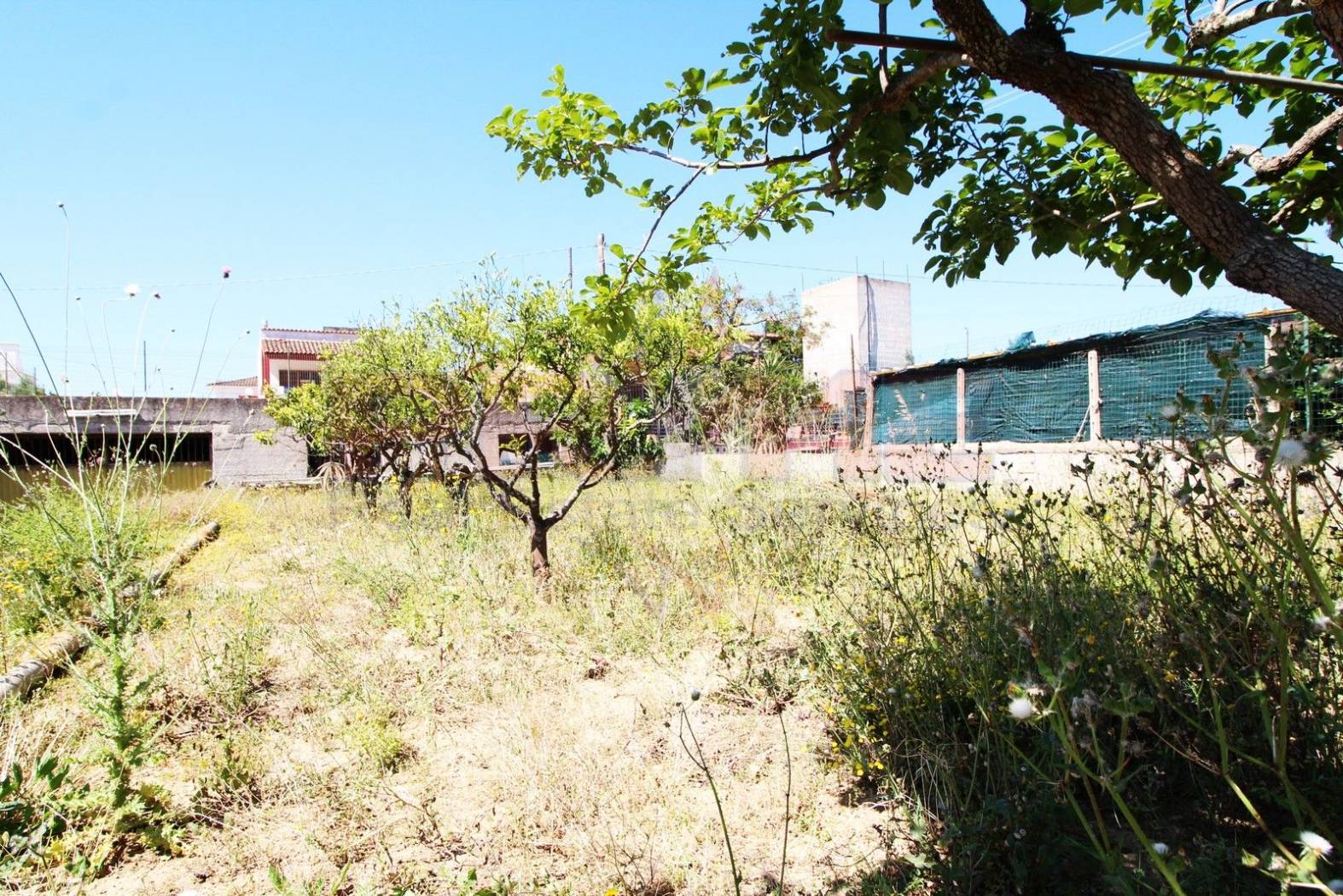 Terreno Terreno