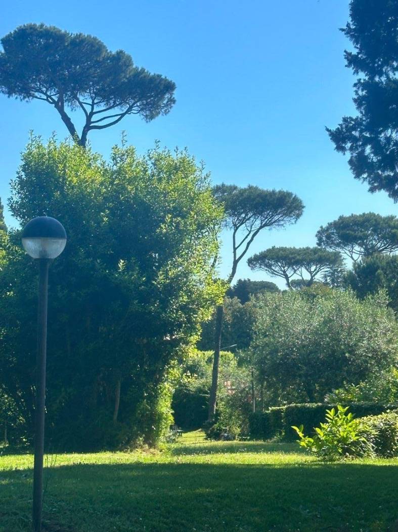 Giardino