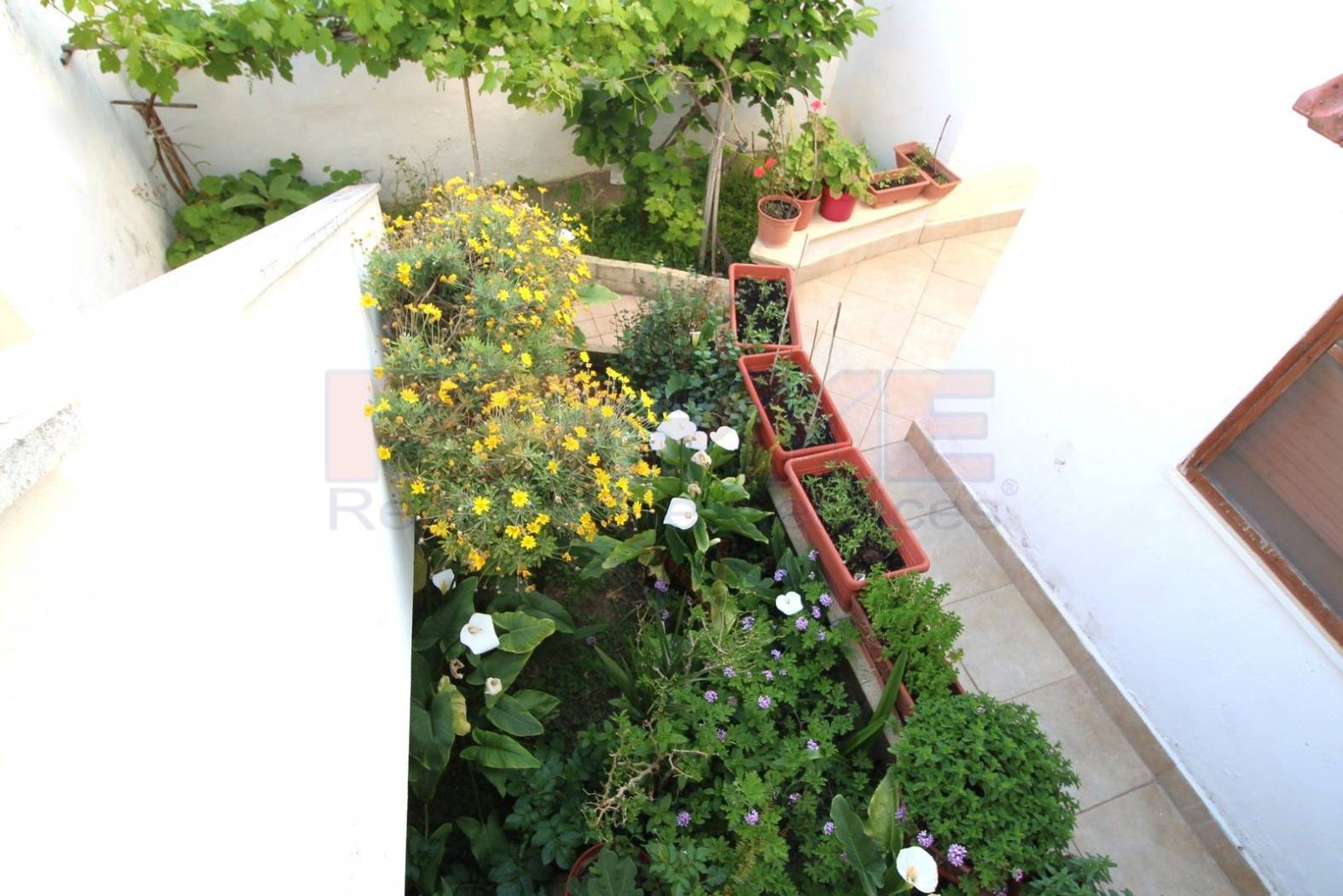Giardino Giardino