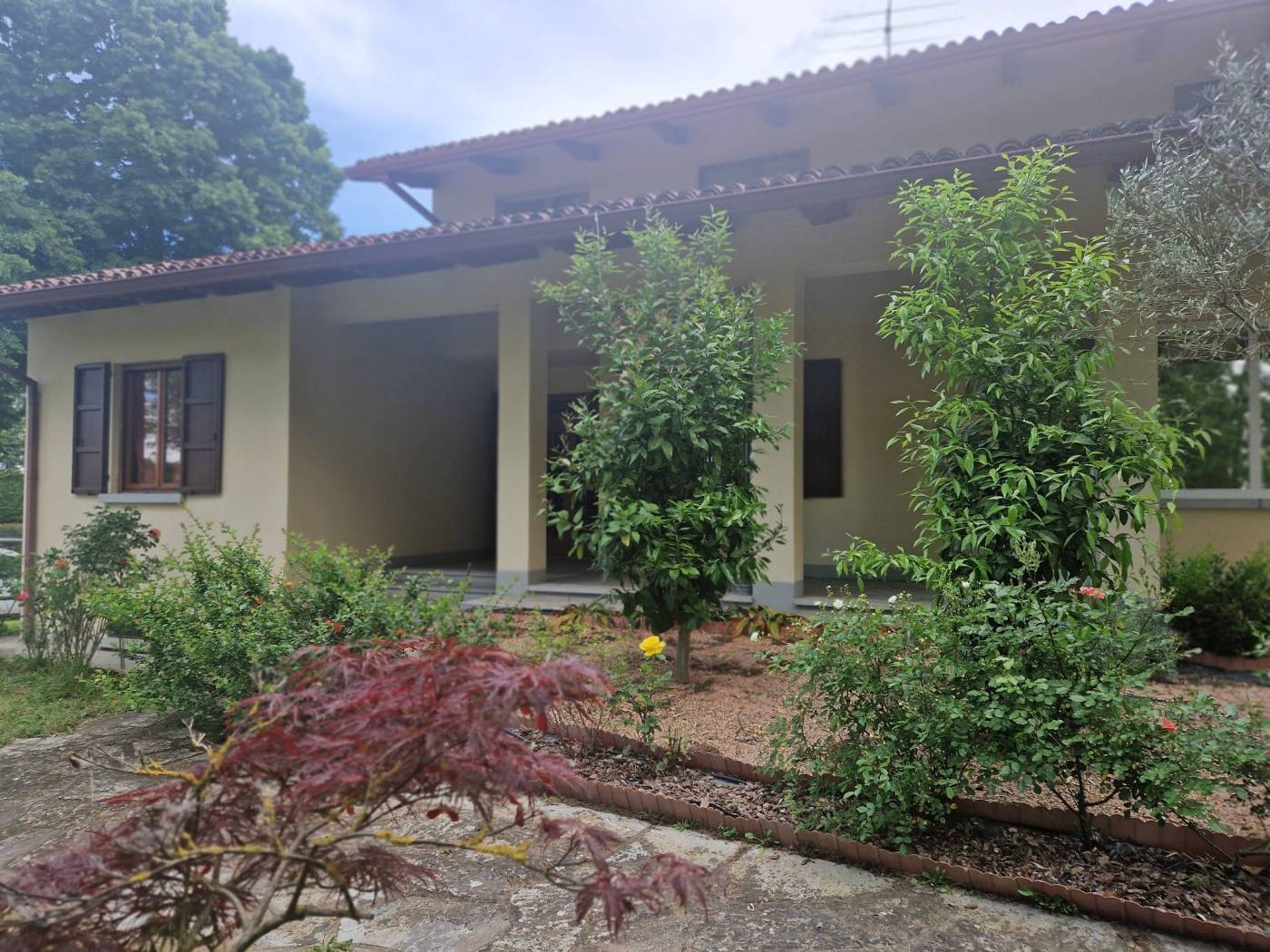 Giardino
