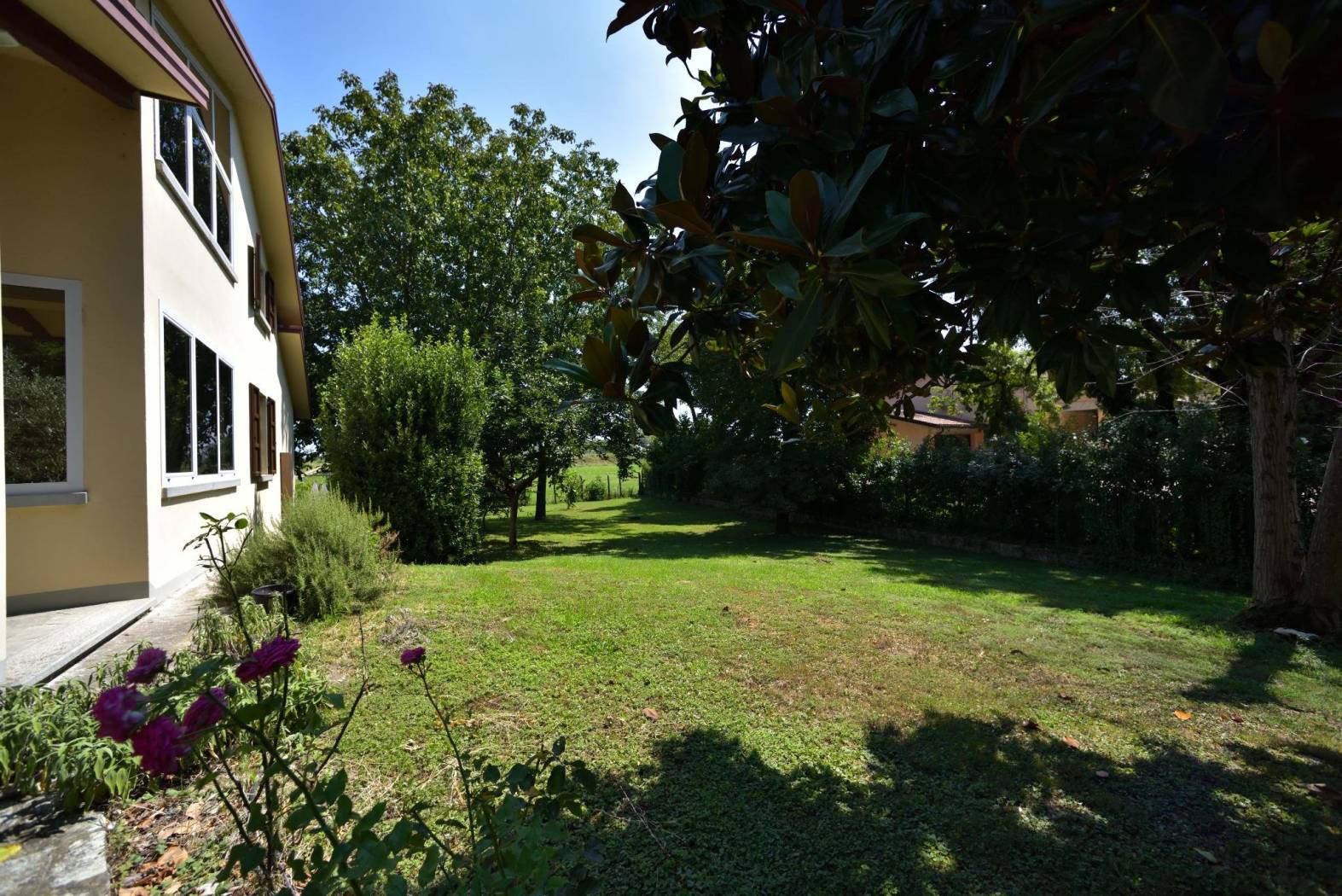 Giardino