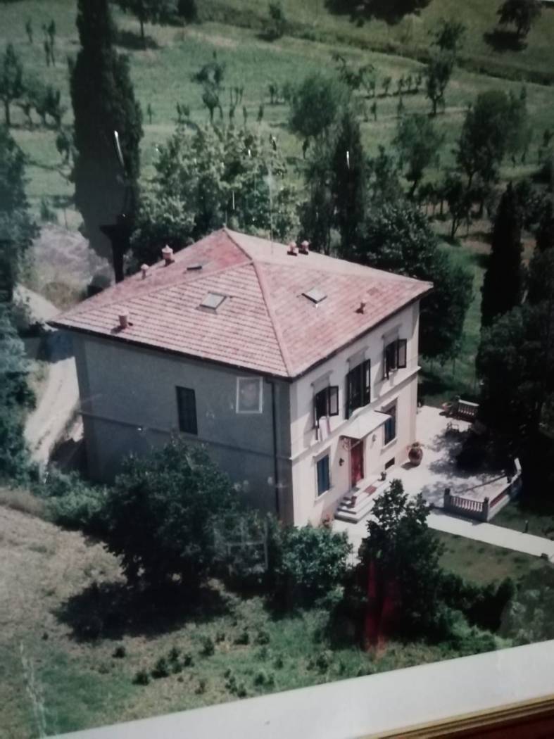 Vista