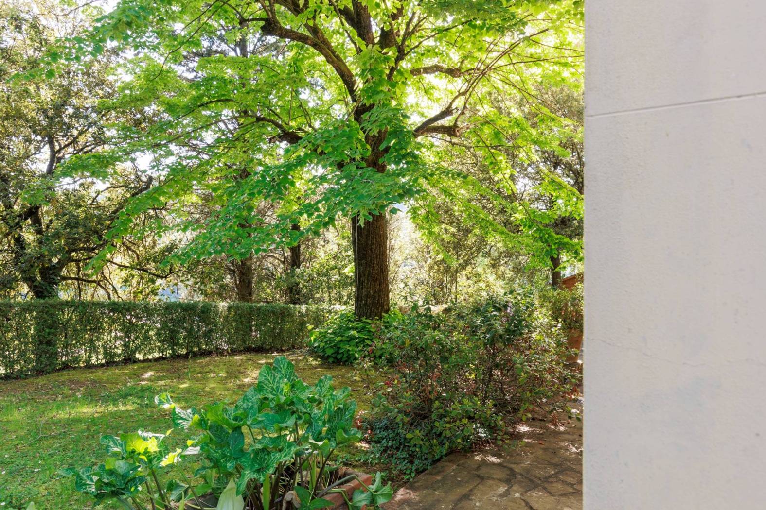 Giardino