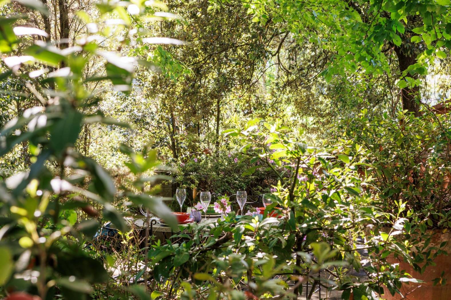 Giardino