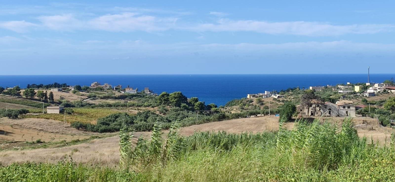 Vista
