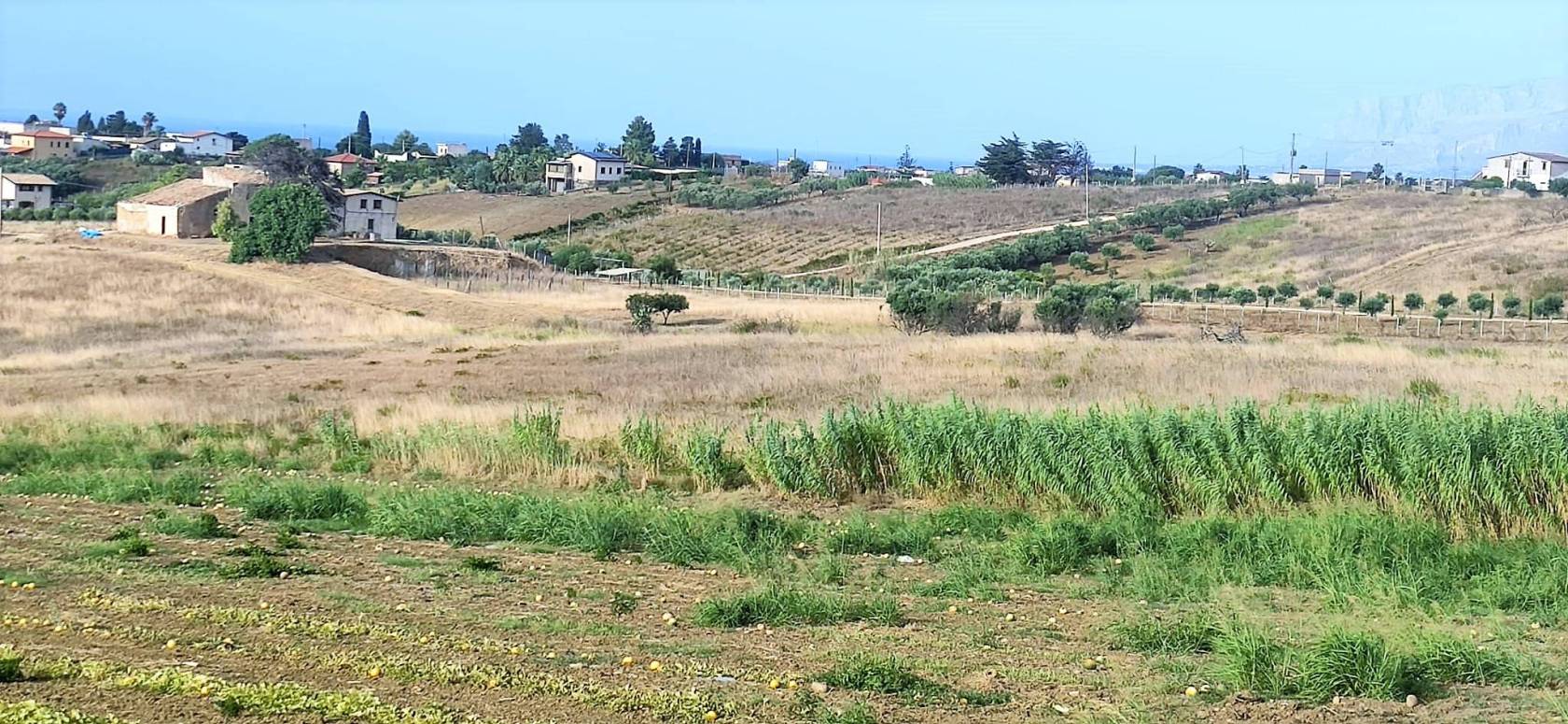 Terreno