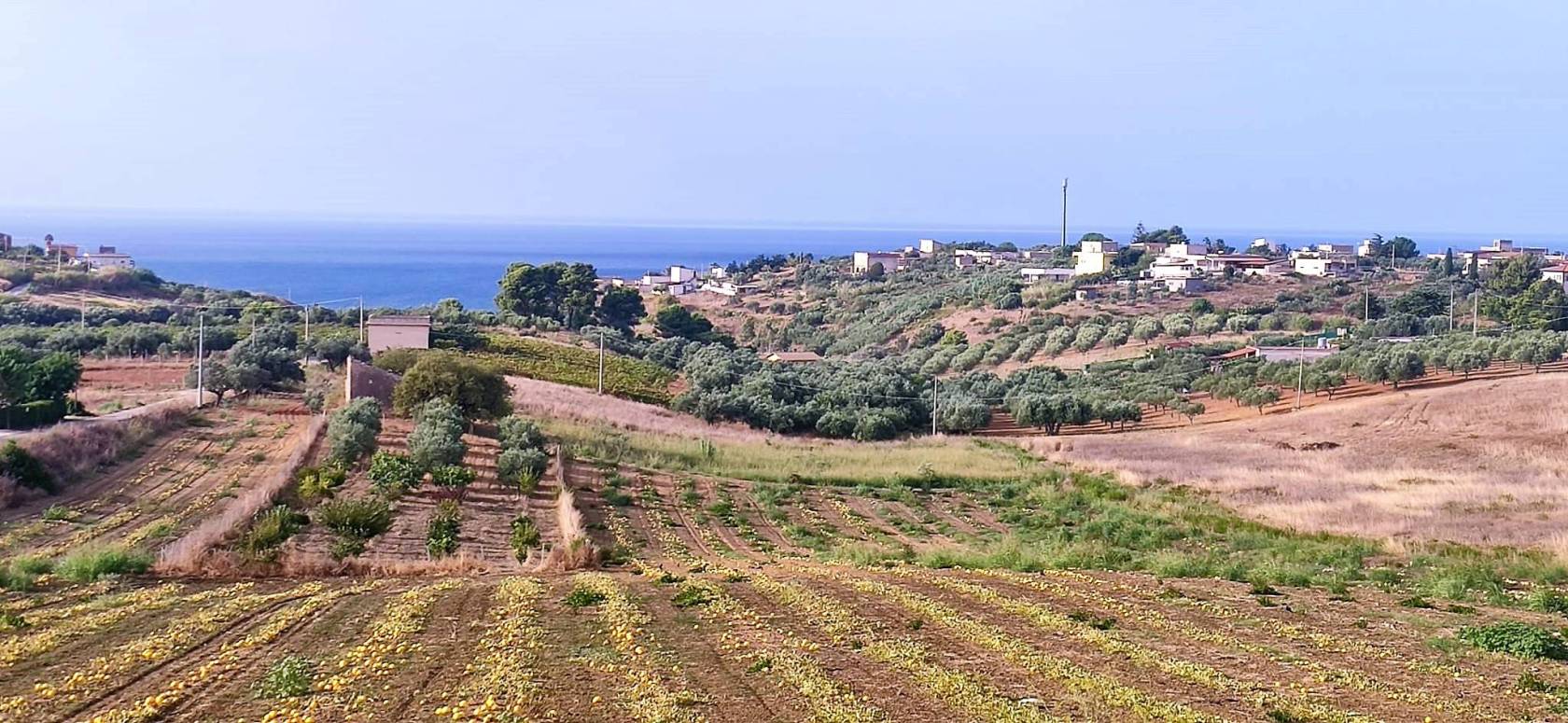 Terreno