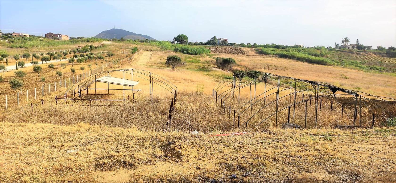 Terreno